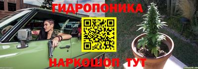 прущие крисы Пугачёв