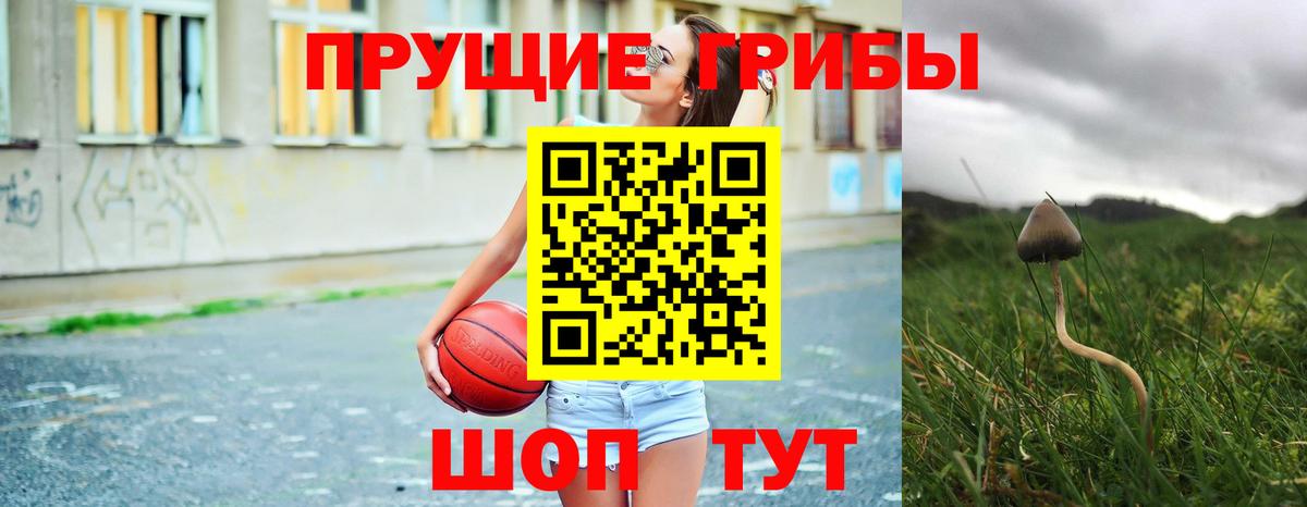 Галлюциногенные грибы прущие грибы  Вход с VPN  Отрадный 